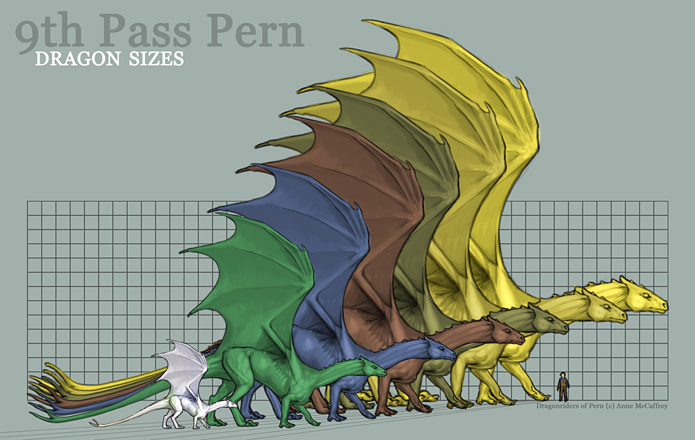 Size comparison of dragon subspecies. I think this was official art but I can no longer find the source.